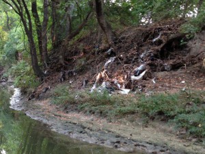 Duck Creek Conservation Project
